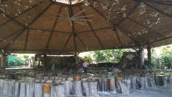 Mary Immaculate Parish Nature Church